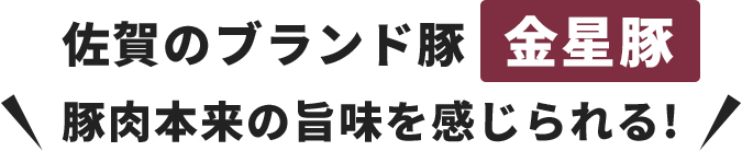 佐賀のブランド豚 金星豚 豚肉本来の旨味を感じられる!