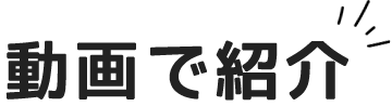 動画で紹介